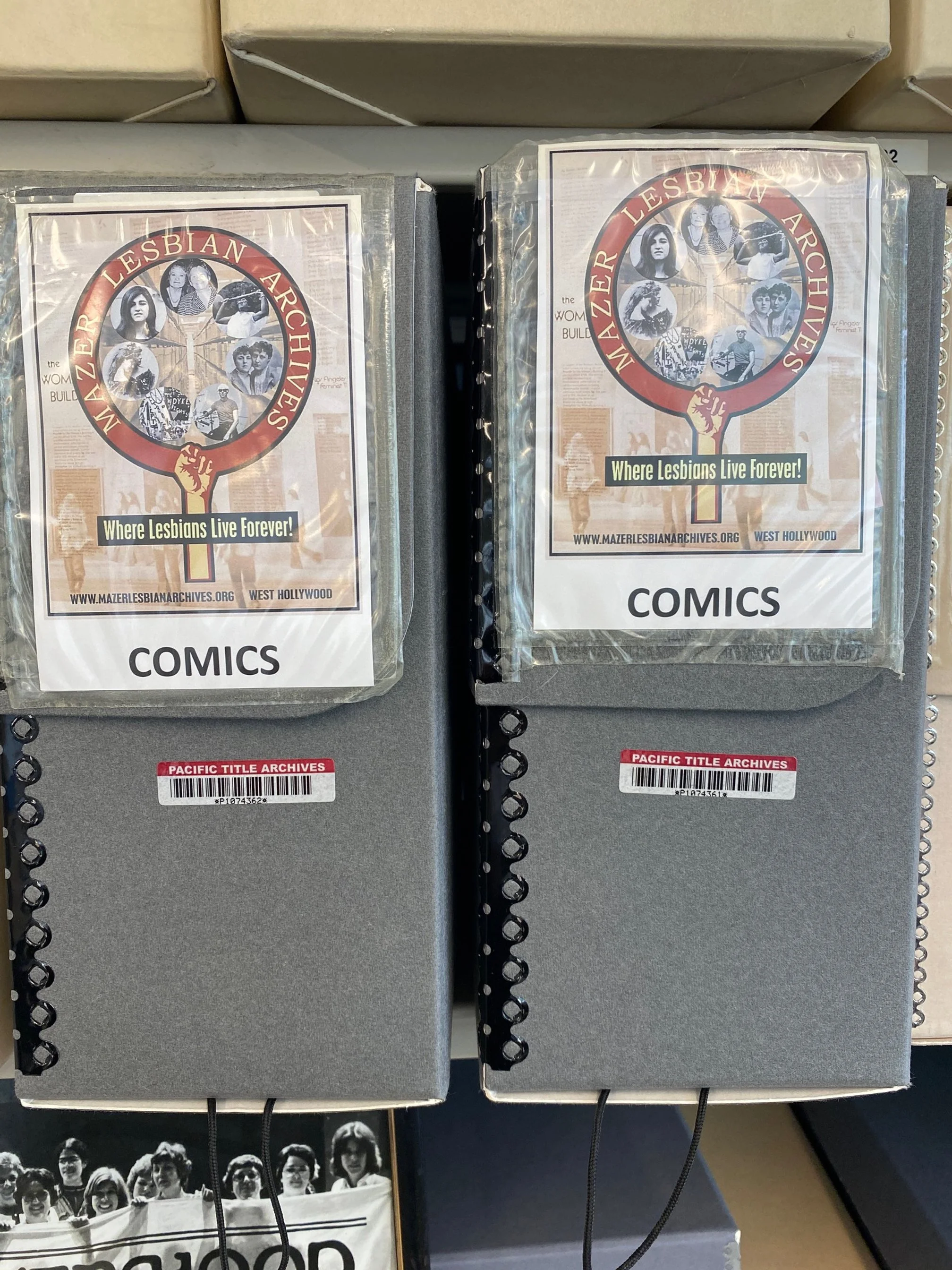 Mazer Archives November 2022 Newsletter | Out of the Archives: Our Comics Collection