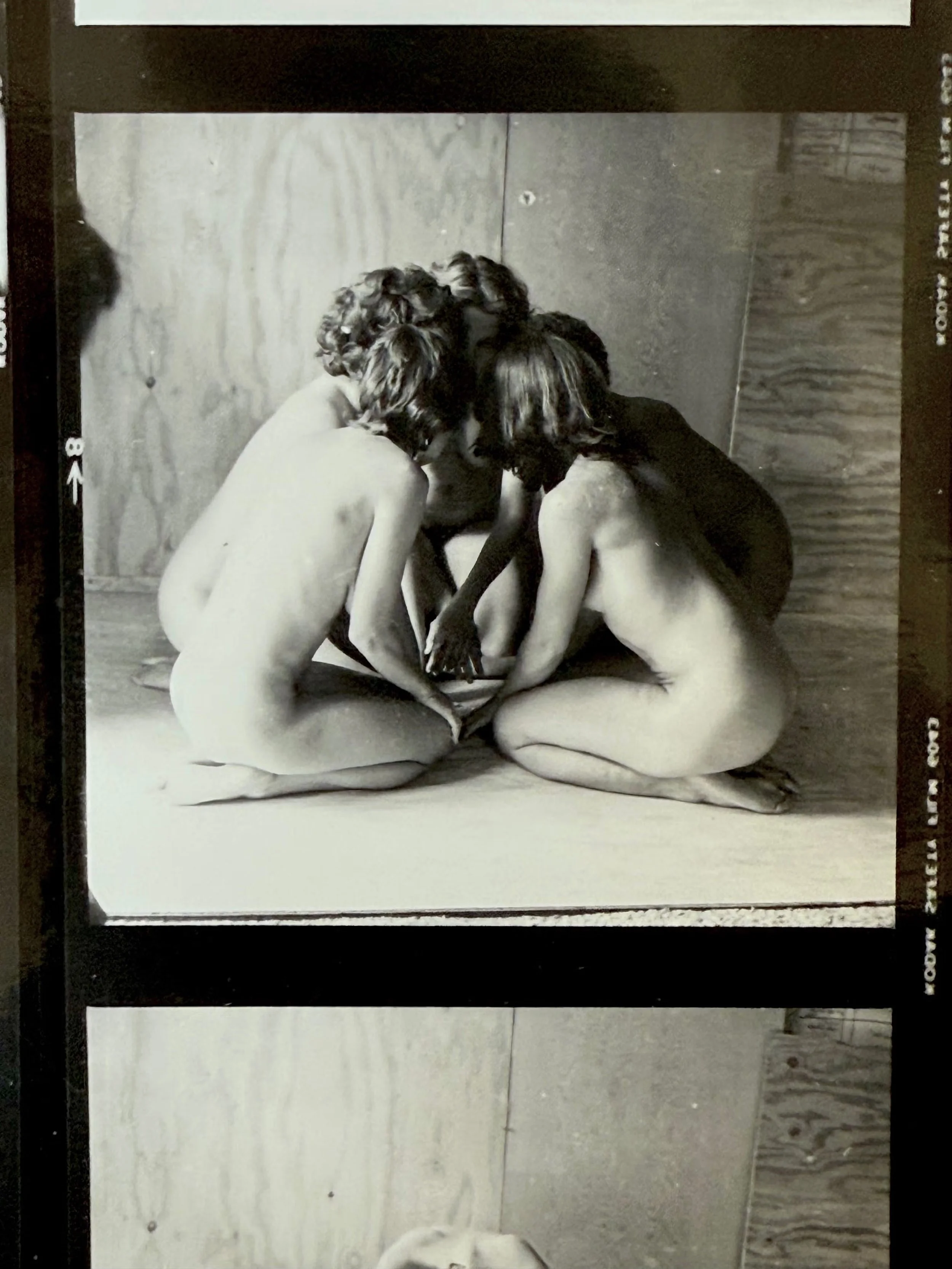 Monica Majoli Countervision Exhibit
