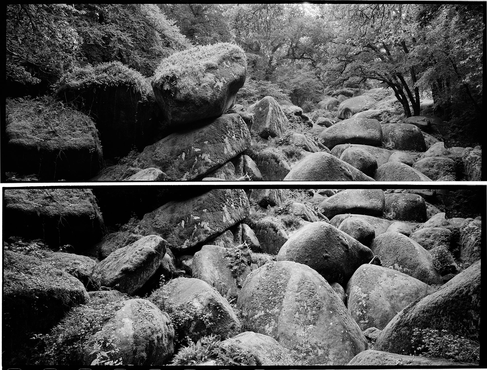 Sans titre-1 copie.jpg