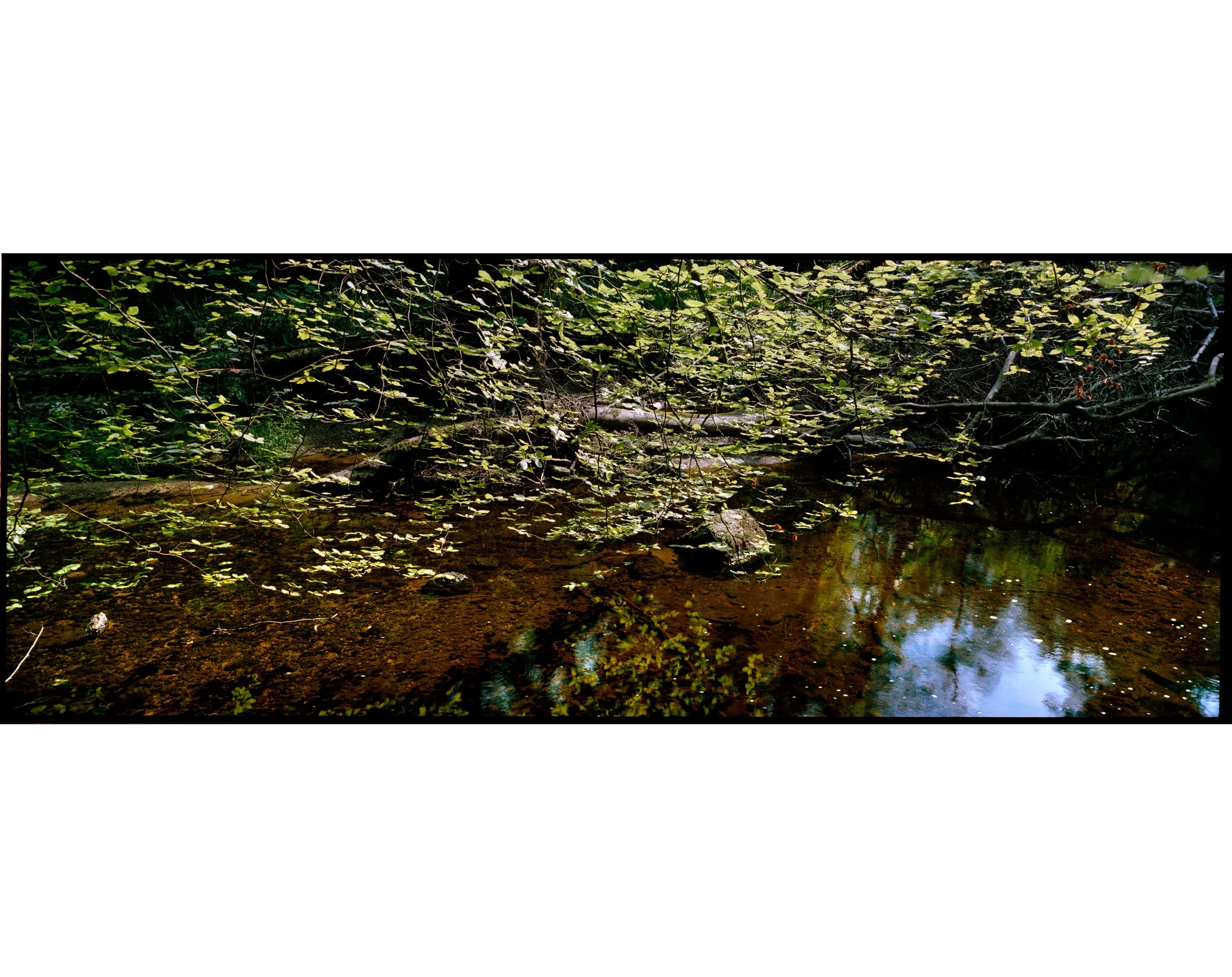 12sRGB-modèle-pour-marges-site-web.jpg