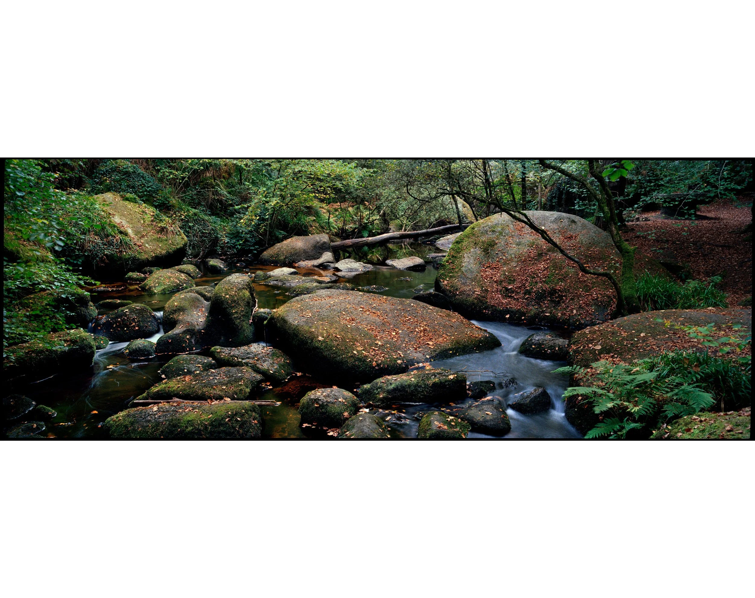 La Mare aux Fées