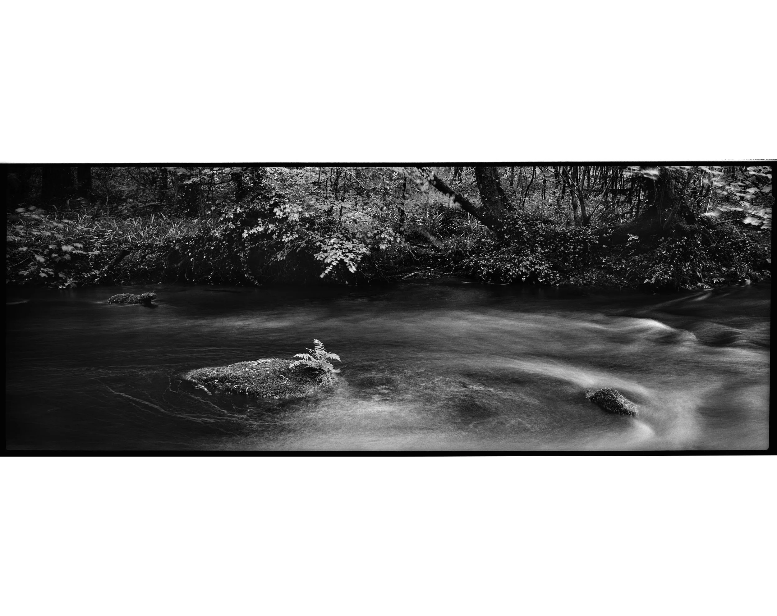 Au fil de la Rivière d'Argent #5