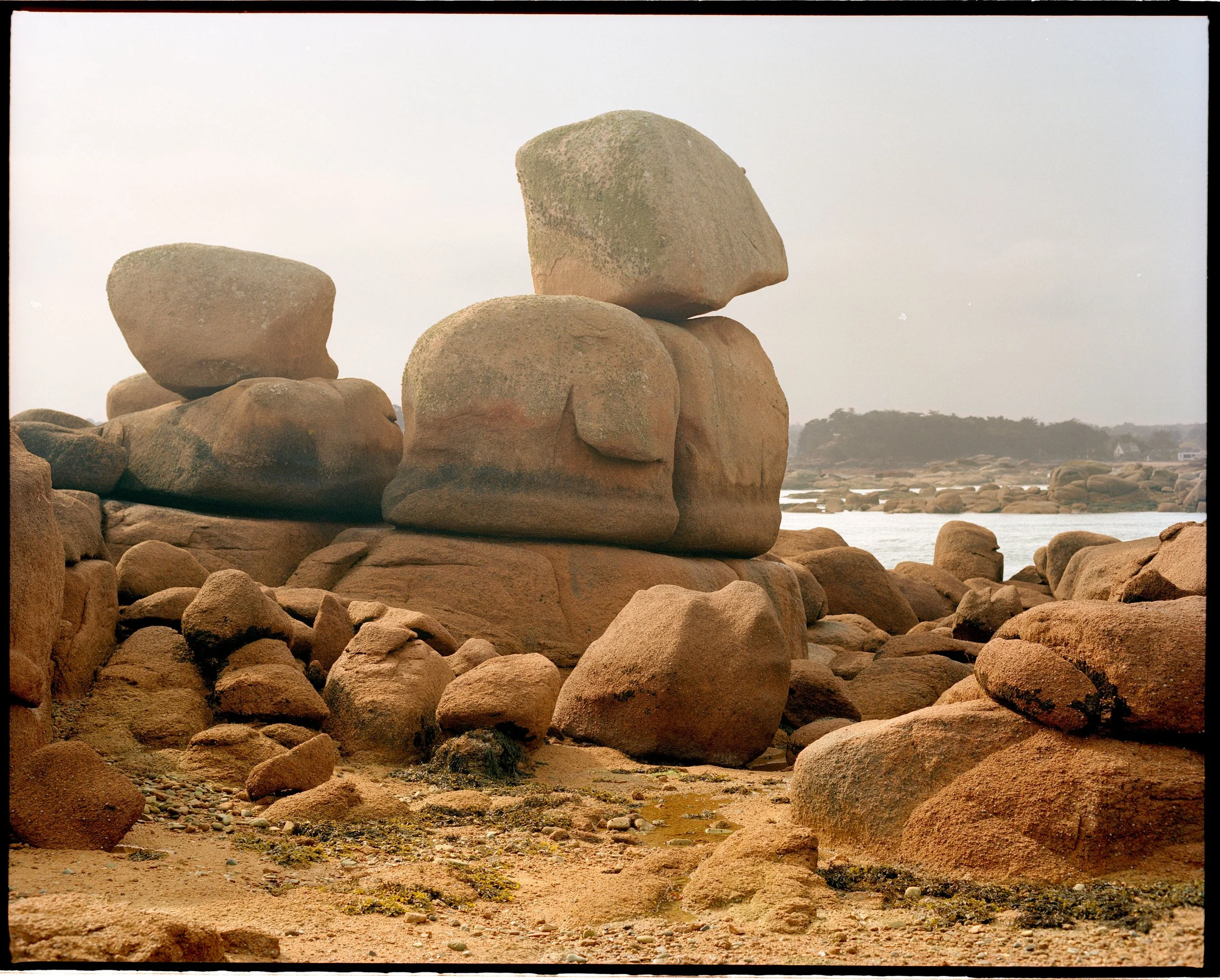 Granit-Rose-2022-21.jpg