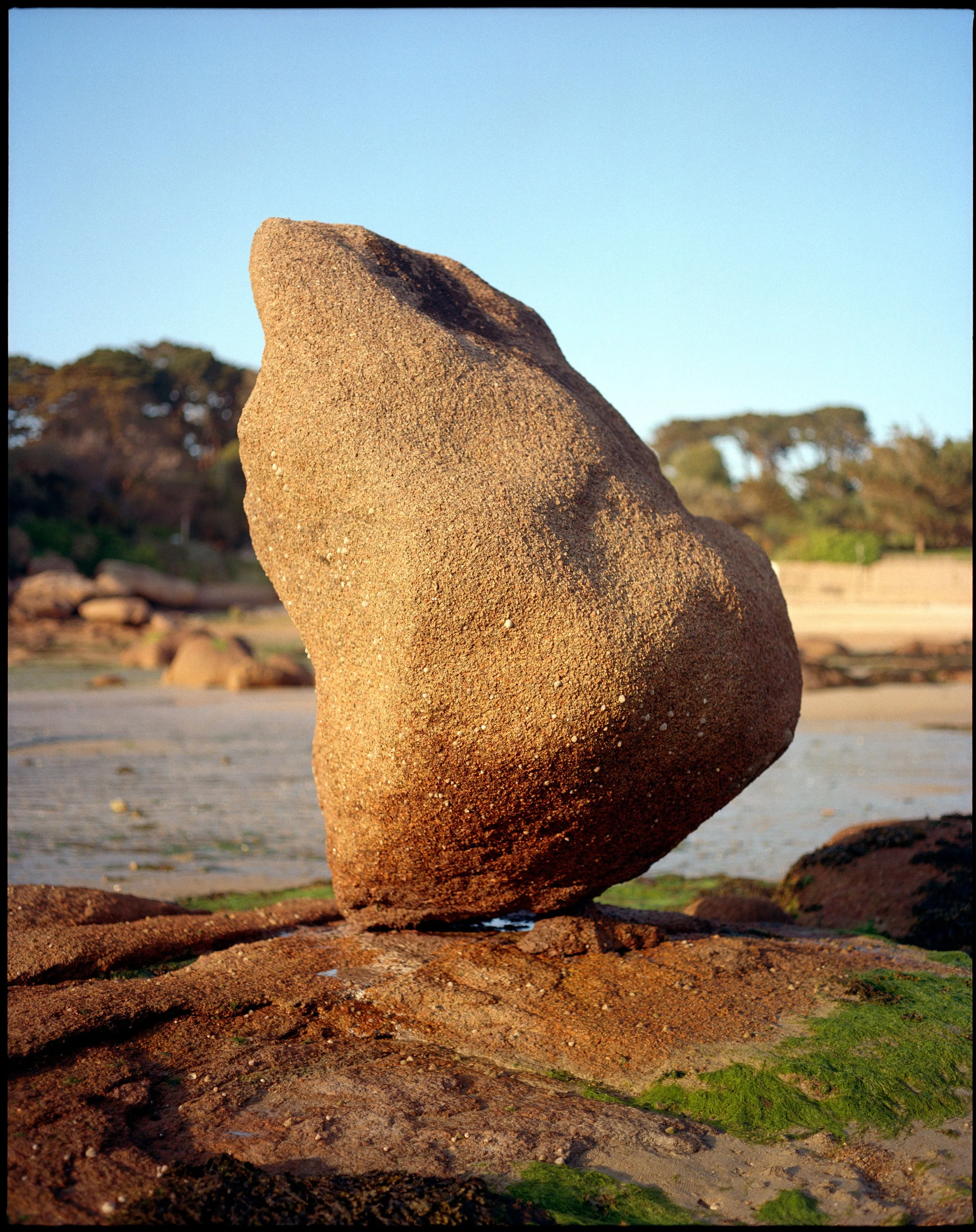 Granit-Rose-2022-84.jpg