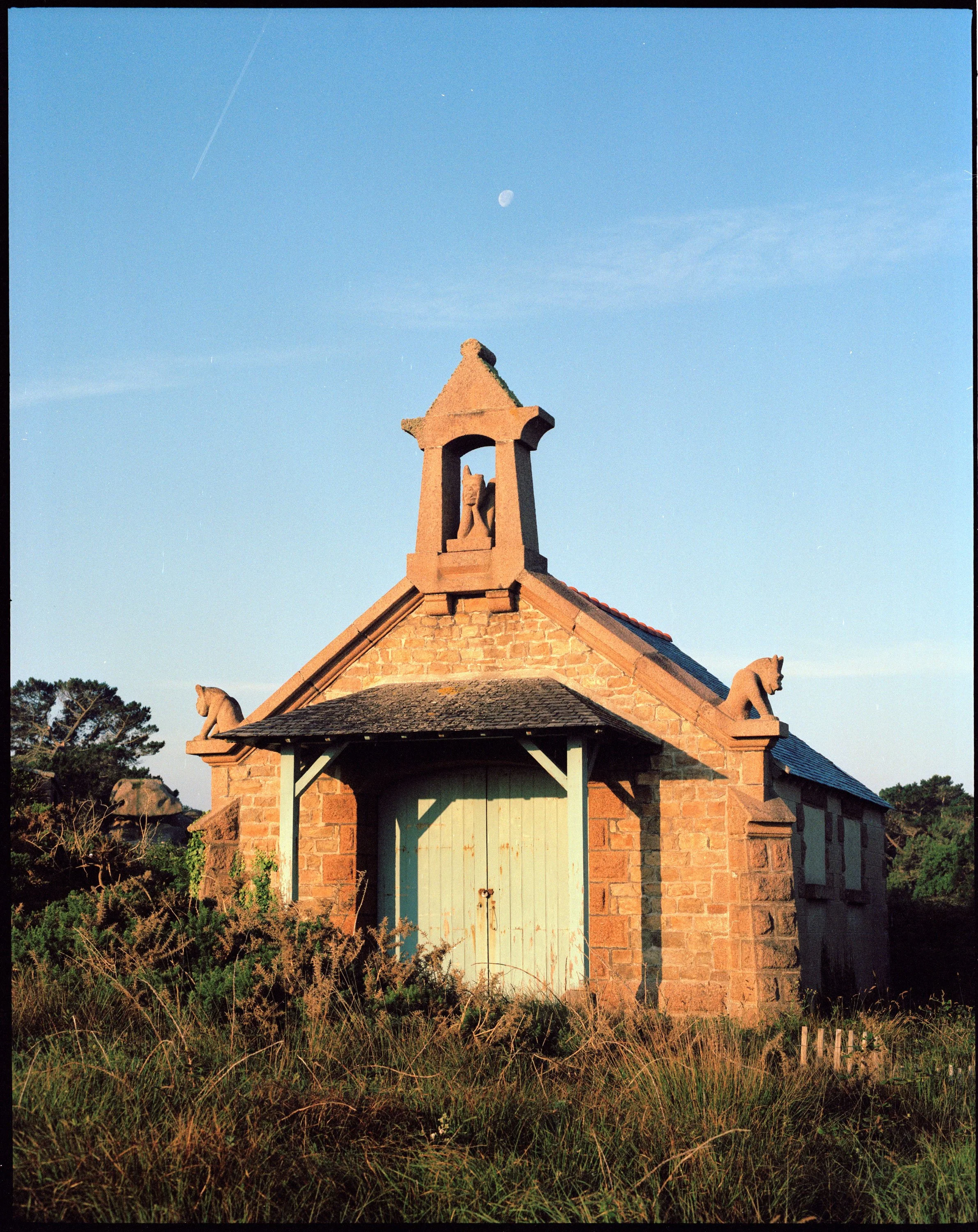 P67-Portra-40-GranitROSE-2024-1-v2.jpg