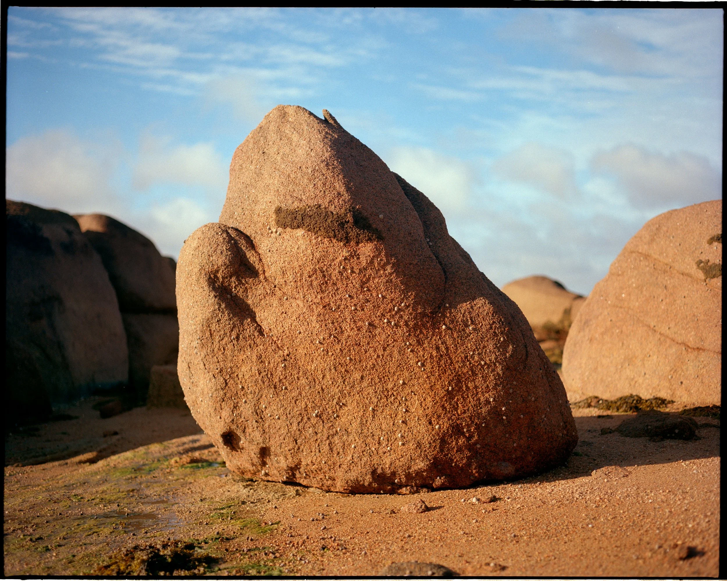P67-Portra-40-GranitROSE-2024-18-retouch.jpg