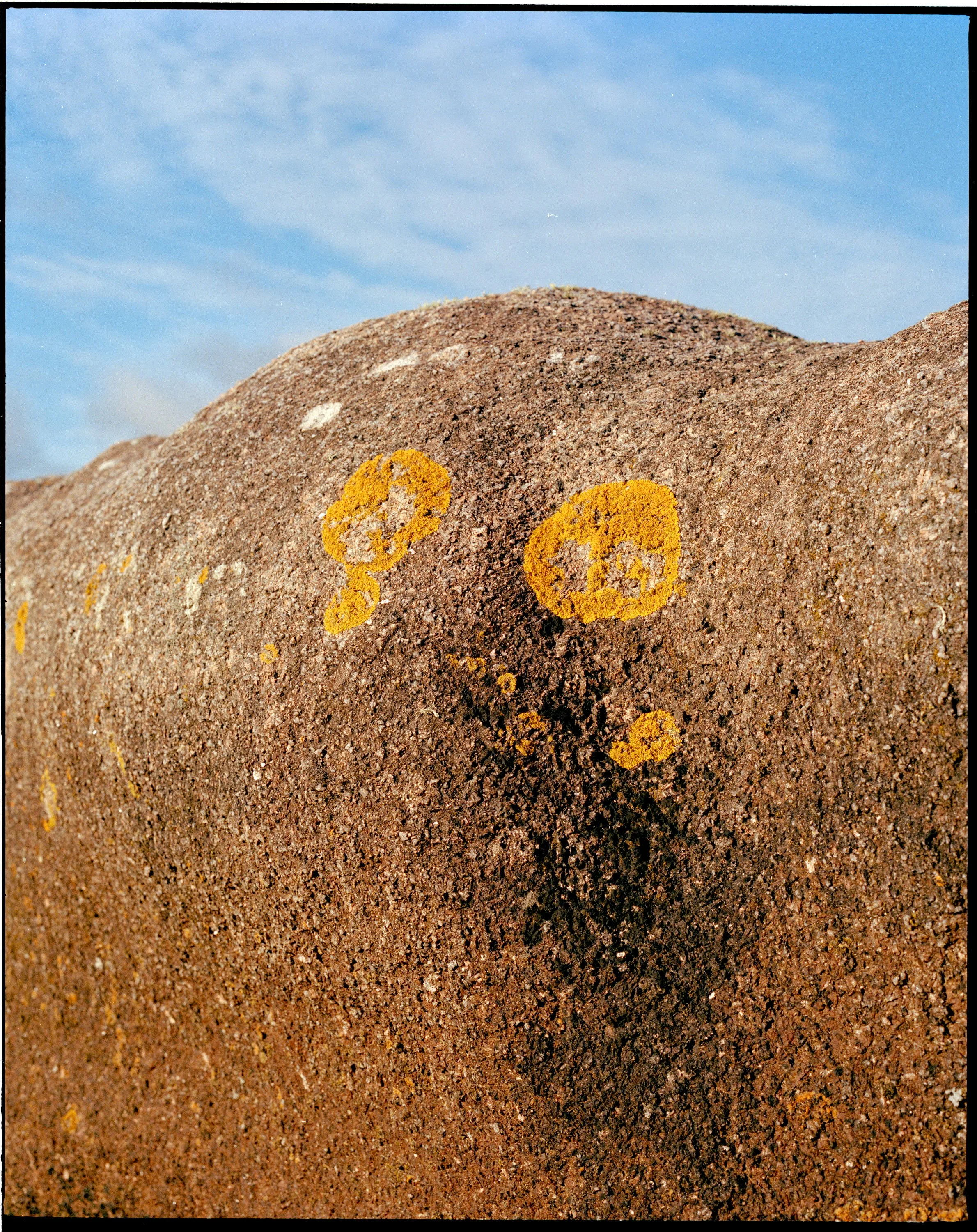 P67-Portra-40-GranitROSE-2024-21.jpg
