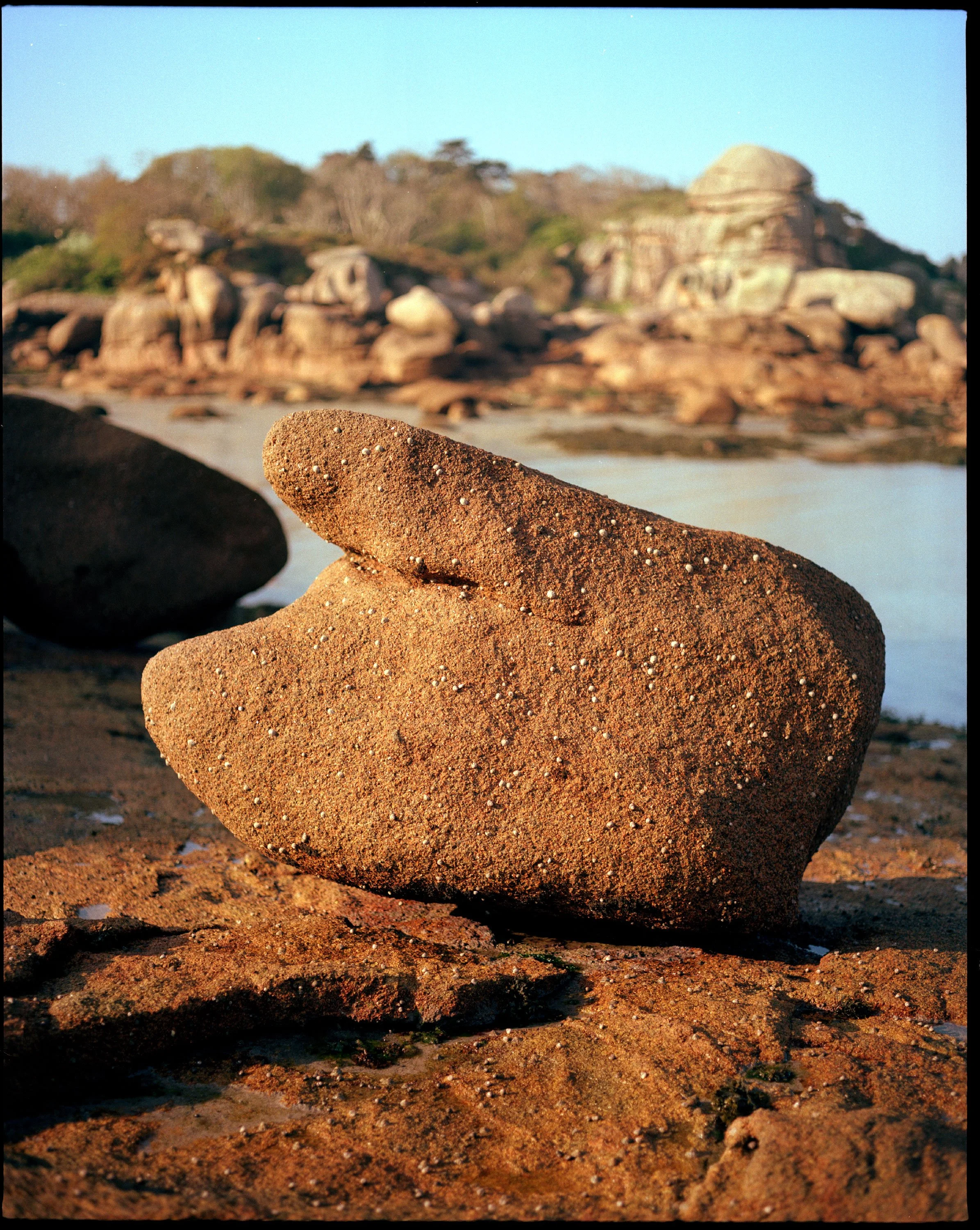 Granit-Rose-2022-11-rescan.jpg