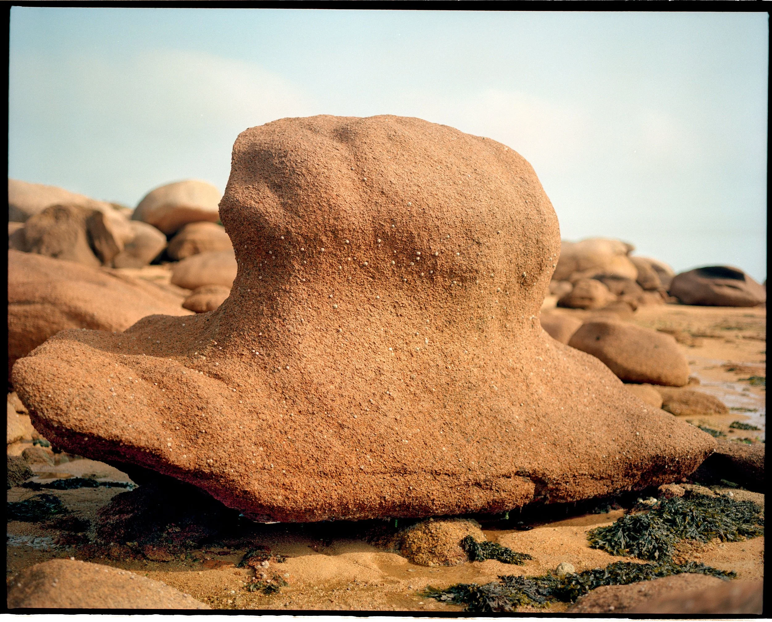 Granit-Rose-2022-24-retouch-v3.jpg