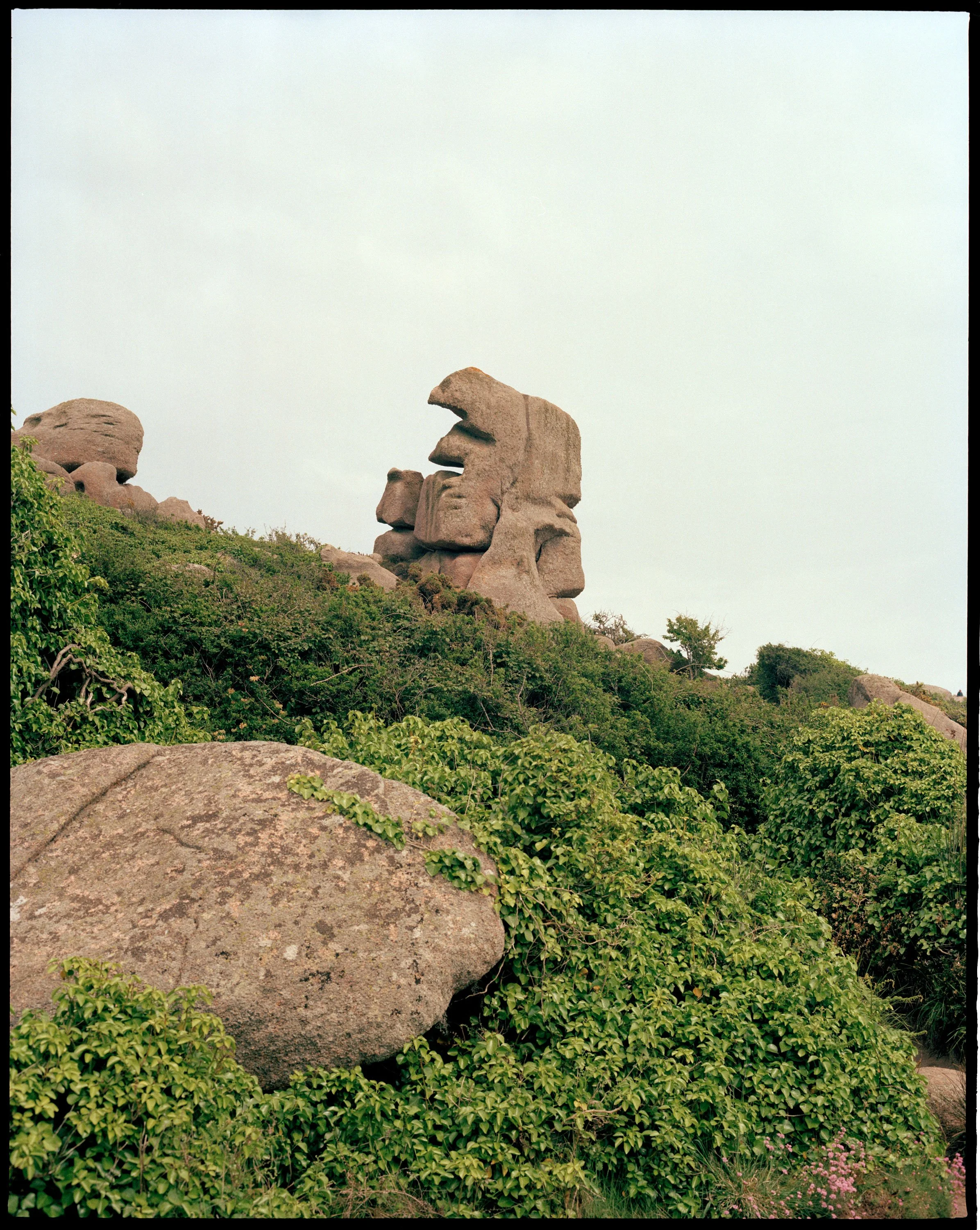 Granit-Rose-2022-142.jpg