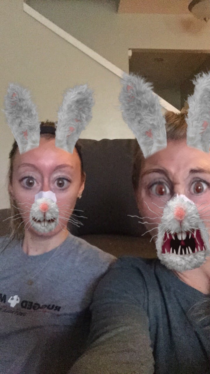 Snapchat rabbits