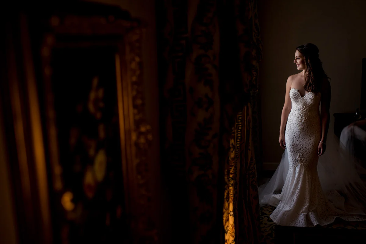 Dramatic bridal portrait - Wedding planning by Bella Notte, Photo by Michelle Lindsay Photography