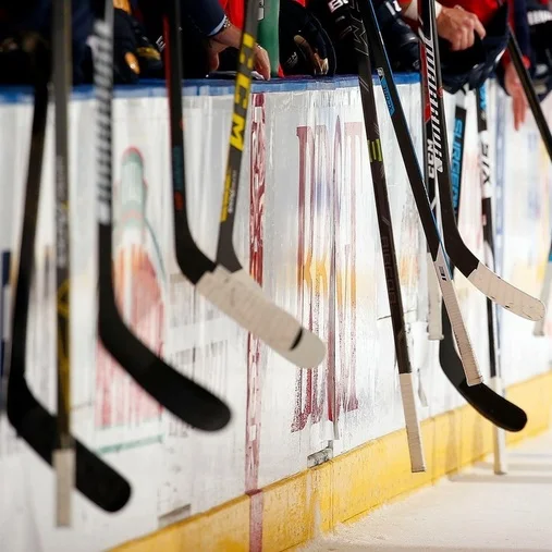 sticks.jpg