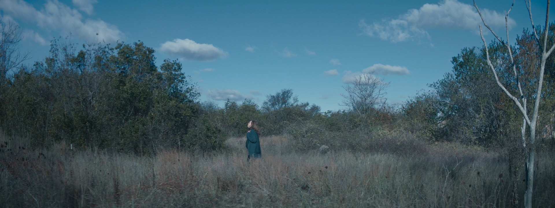 Reel.00_04_00_23.Still003.png