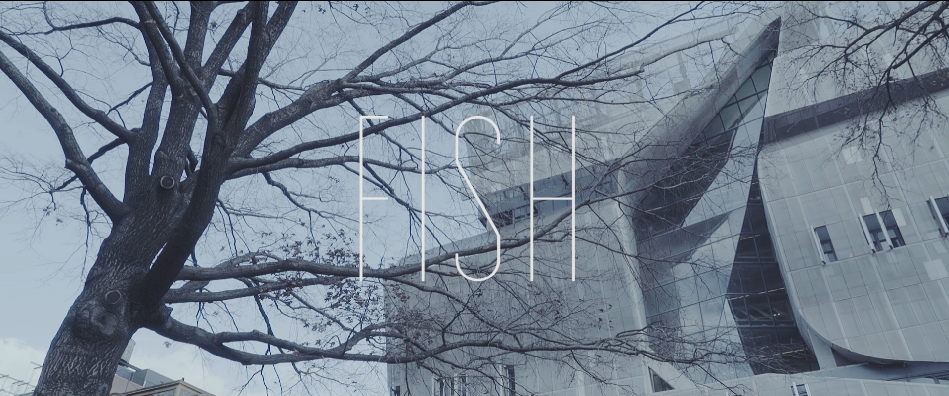 Fish (2016)