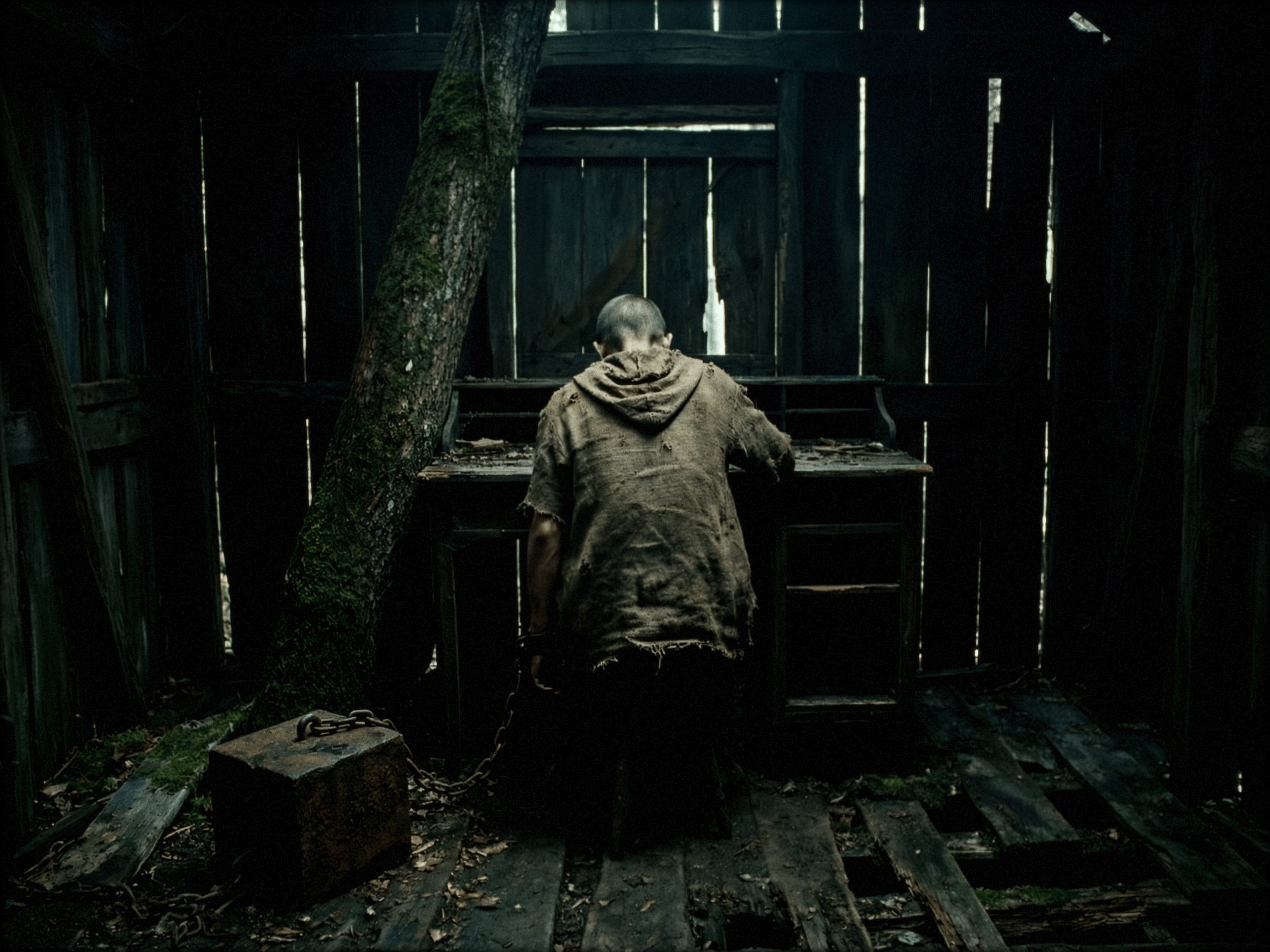 Still 2026-03-31 210233_1.16.1.png