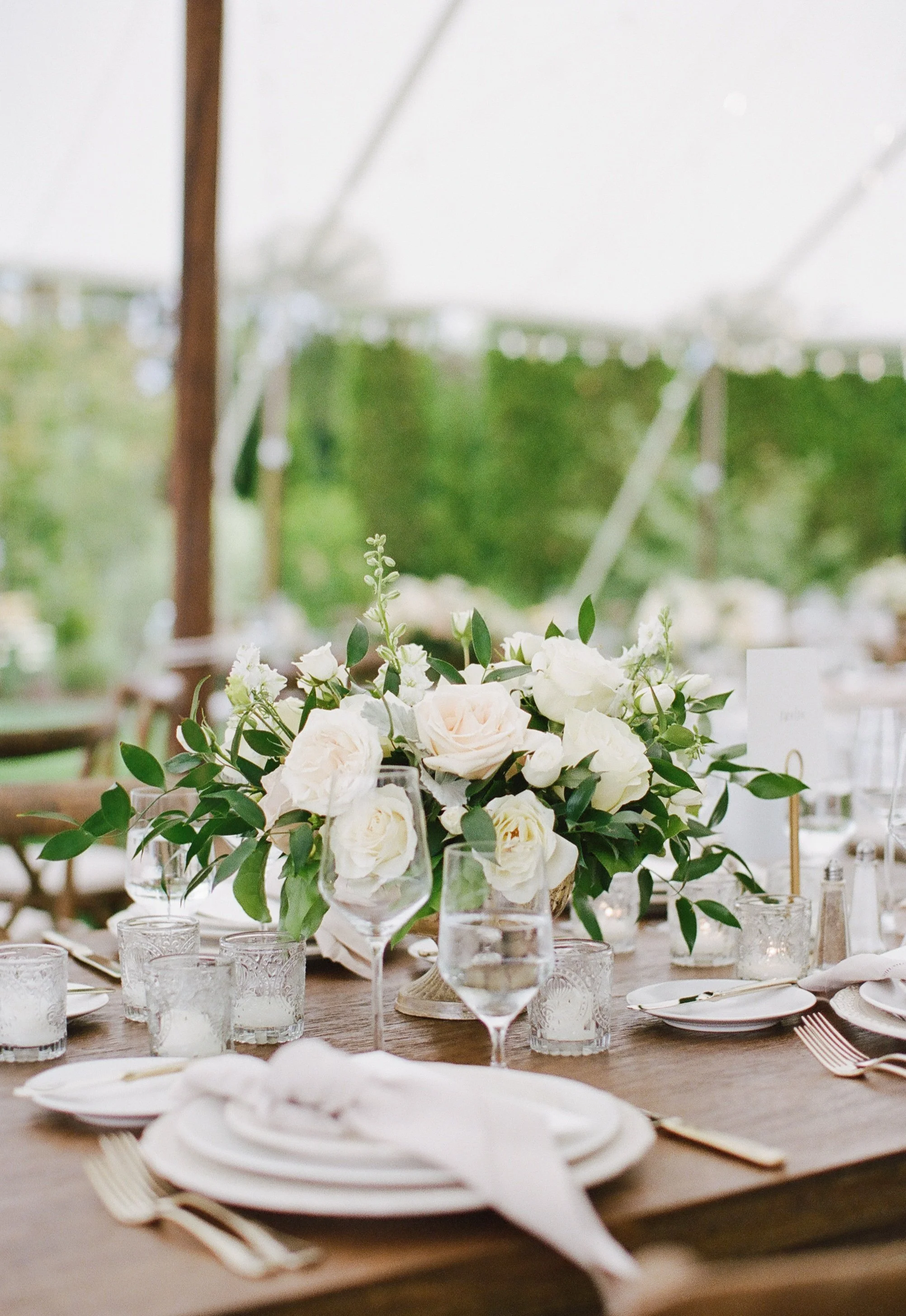 backyardwedding-washington-azizstudios-0006-3.JPG