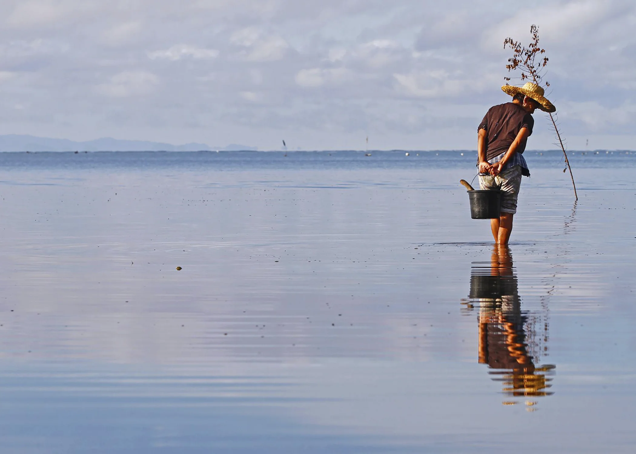 Coastal Musings_Image2.jpg