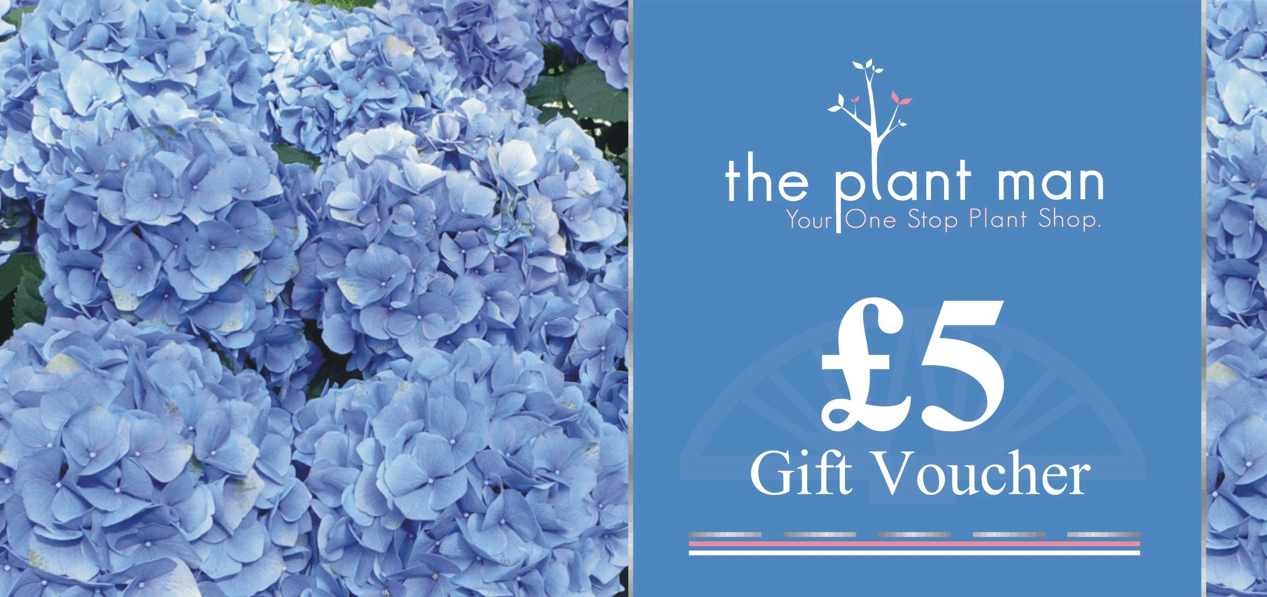 voucher5.jpg