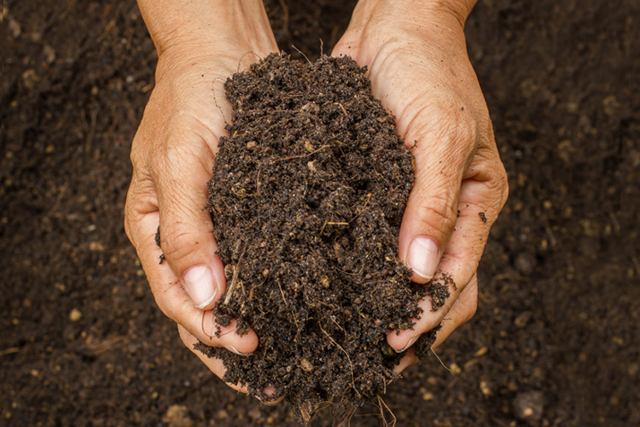 soil.jpg