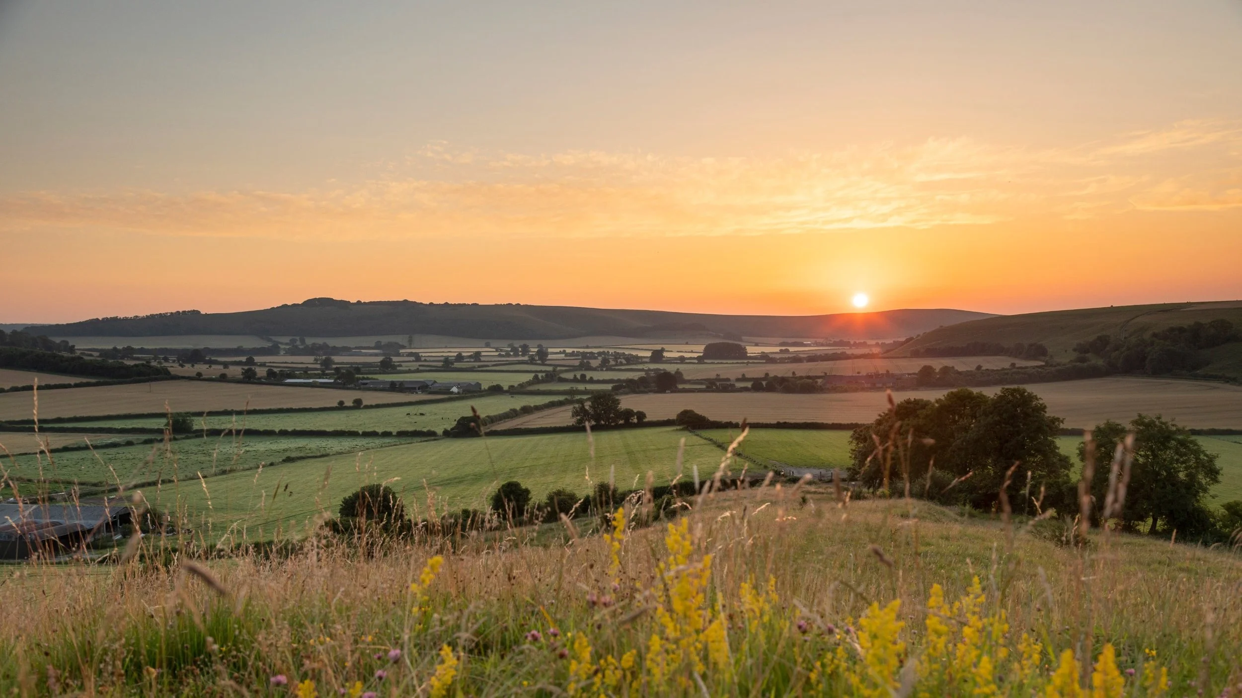 SUNRISE2.jpg