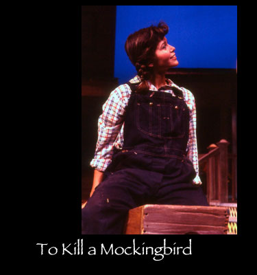 To-Kill-a-Mockingbird---d.jpg