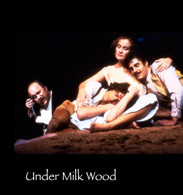 Under-Milk-Wood-d.jpg