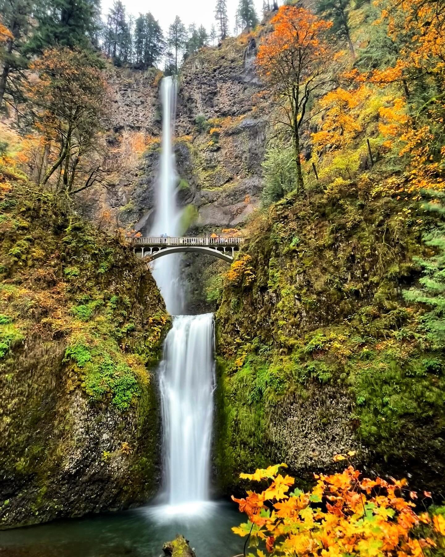Finally made it to Oregon 🙌🏻. Chef&rsquo;s kiss. Thank you Aunt @eileenlicitra, host with the most 🤎🧡. 🍂🍁🍃🌊 #fall #autumn #oregon #multnomahfalls #lakeoswego