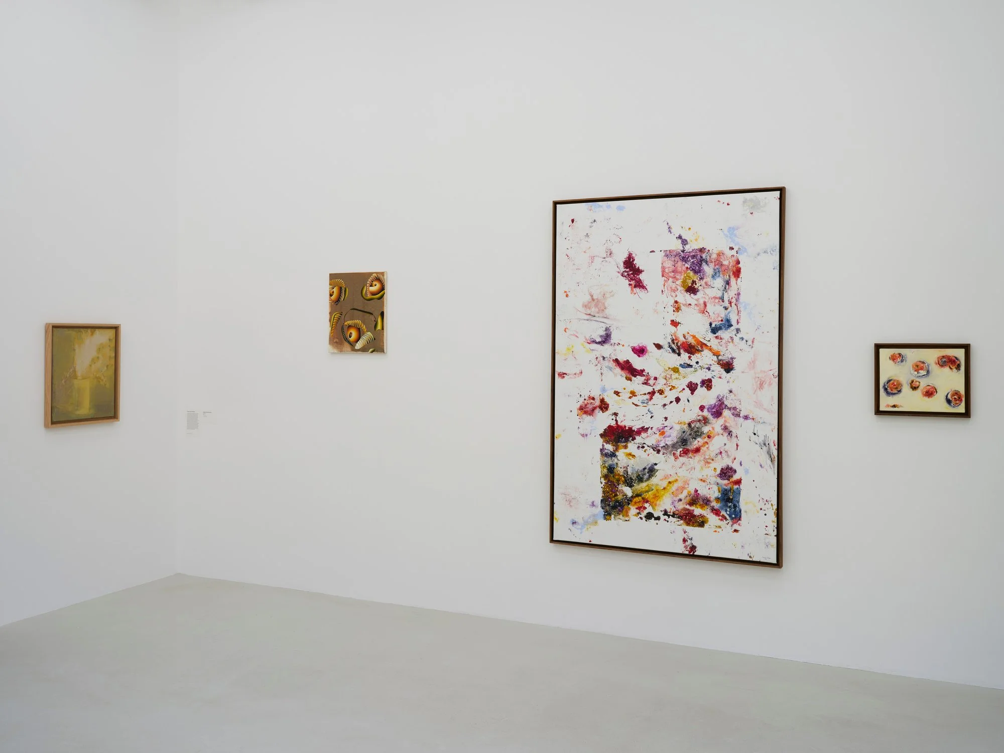 Exposition "Revenir du présent" à la Collection Lambert, 2024.