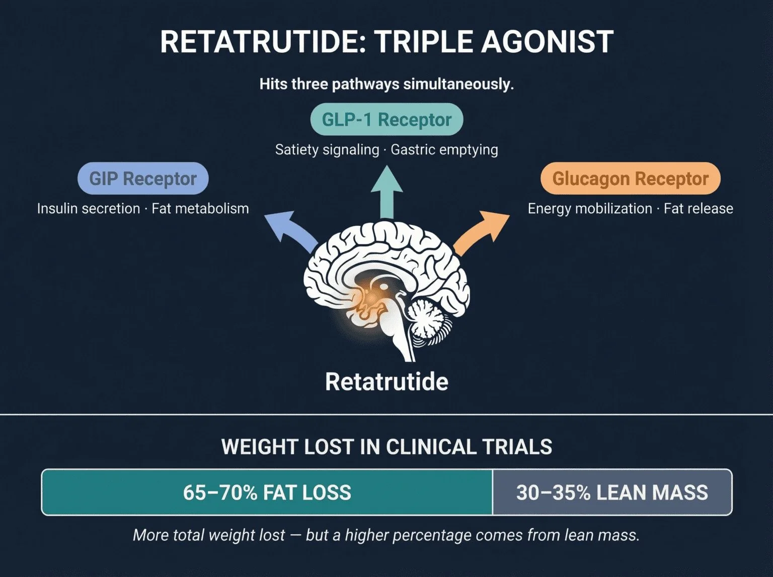 how retatrutide works