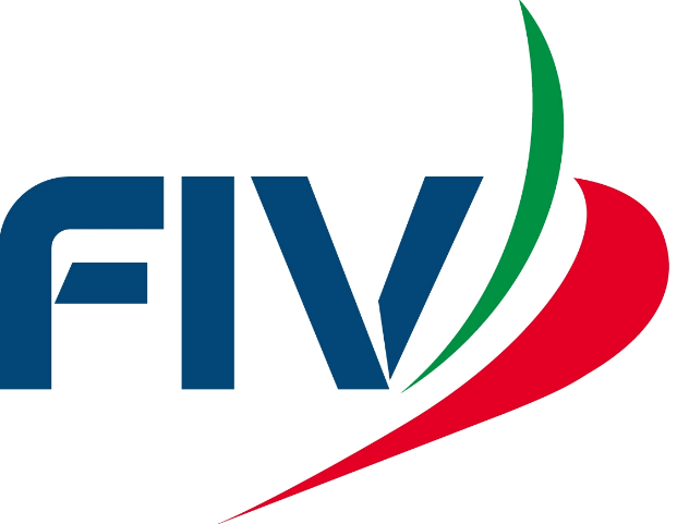 fiv logo .png