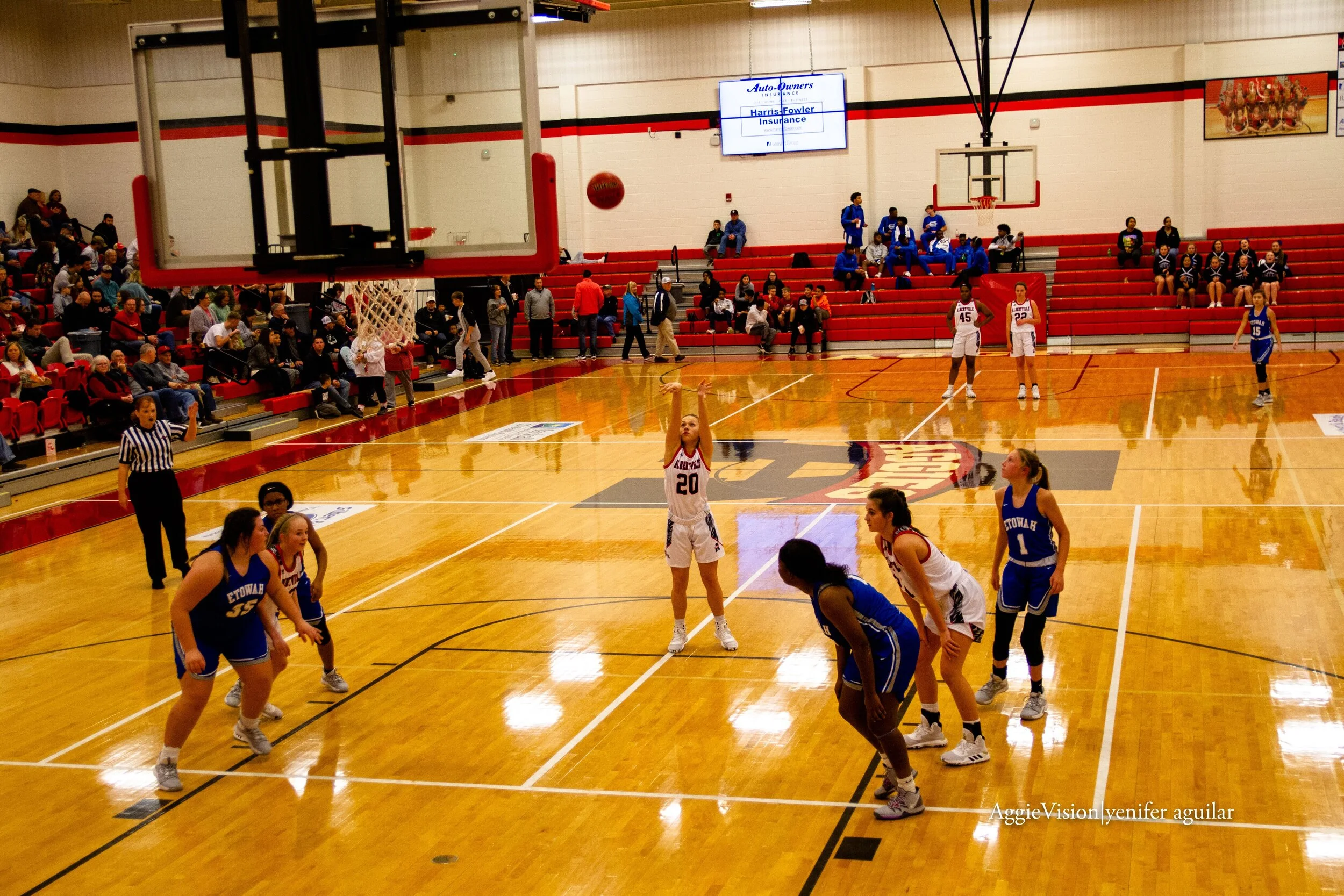 Basketball — Albertville High School