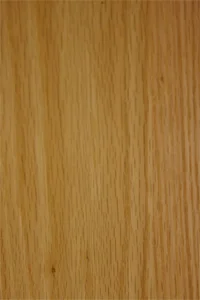 transparent2.jpg