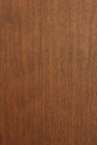 Mercury on Cherry.jpg