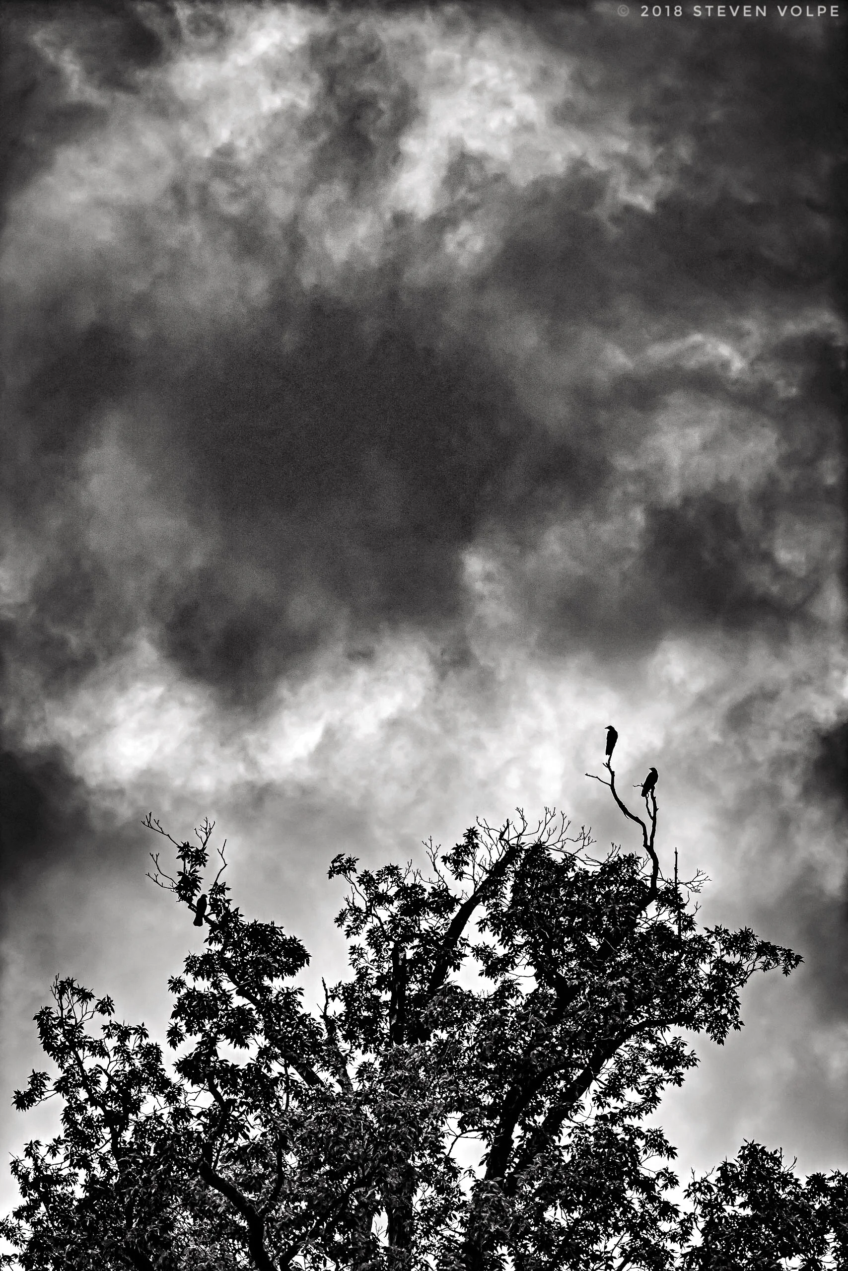 DSC03737-Edit-2.jpg