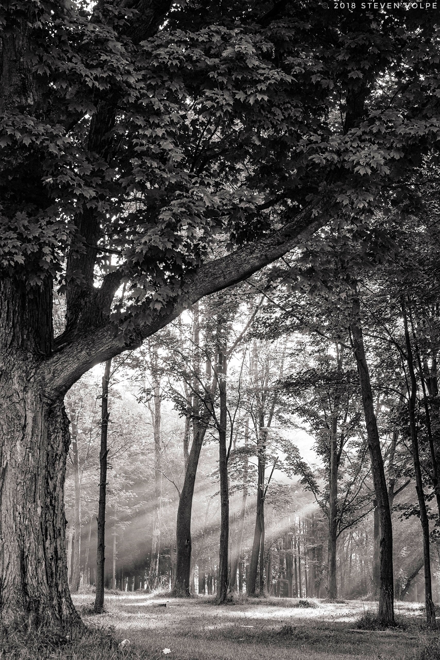 DSC03821-Edit.jpg