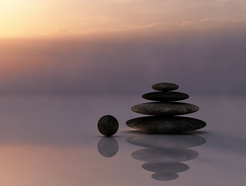 Episode 2: What's a Success Coach and Wellness Mentor?