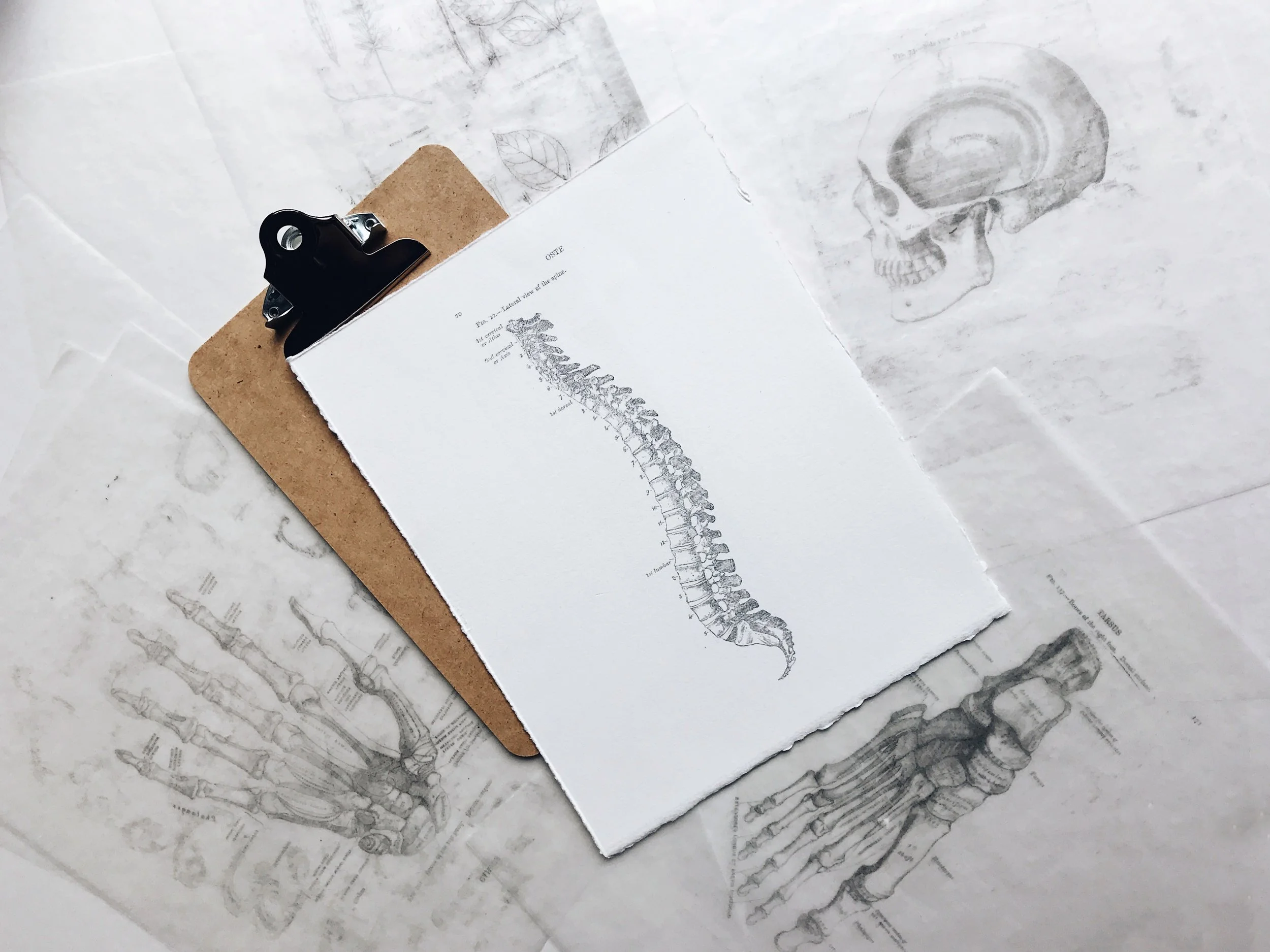 Episode 30: Hands on Medicine