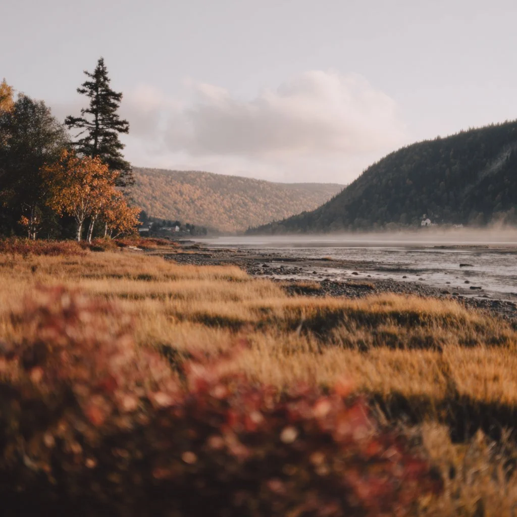 Les couleurs changent, mais l’essence reste la même, celle d’un savoir-faire enraciné ici, au cœur du Québec. 🍁
#savoirfaire