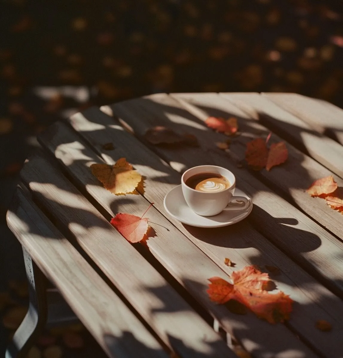 L&rsquo;automne restera toujours notre saison pr&eacute;f&eacute;r&eacute;e. Celle qui repr&eacute;sente Les Mains d&rsquo;ici, dans le mood, les couleurs, bref tout!