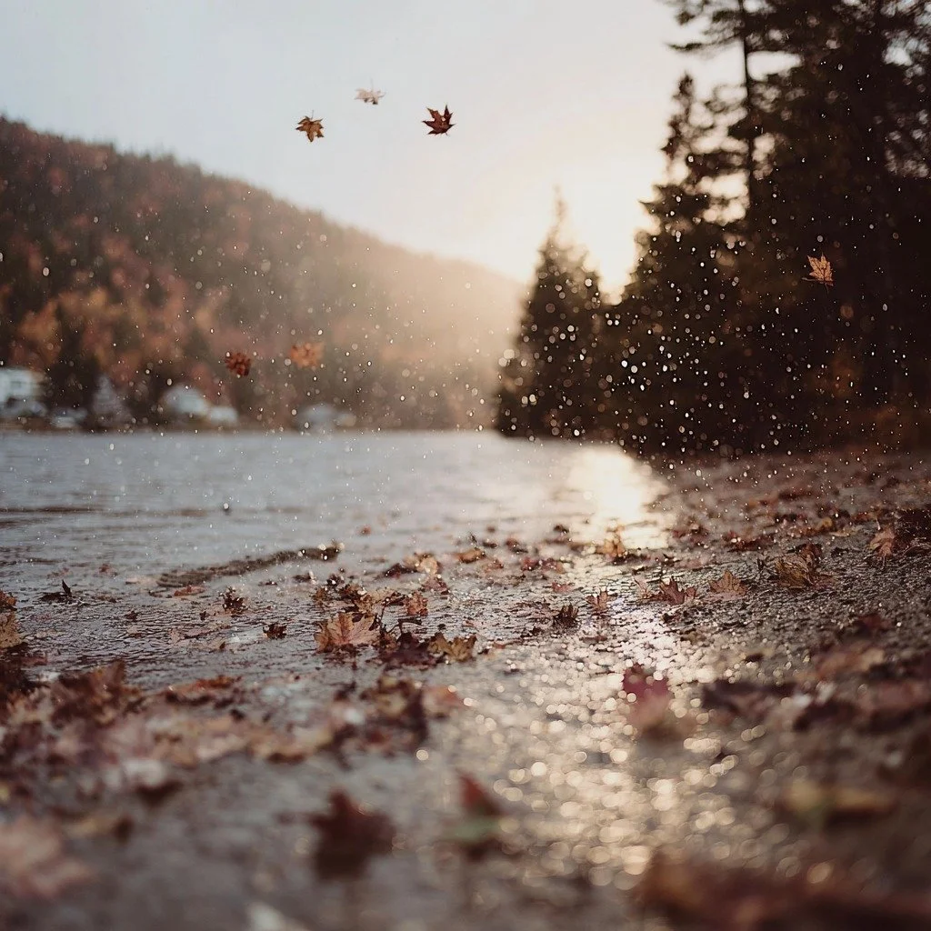 Une fin d&rsquo;automne au Qu&eacute;bec&hellip;
La pluie efface les couleurs, mais jamais la beaut&eacute; du moment. 🍂