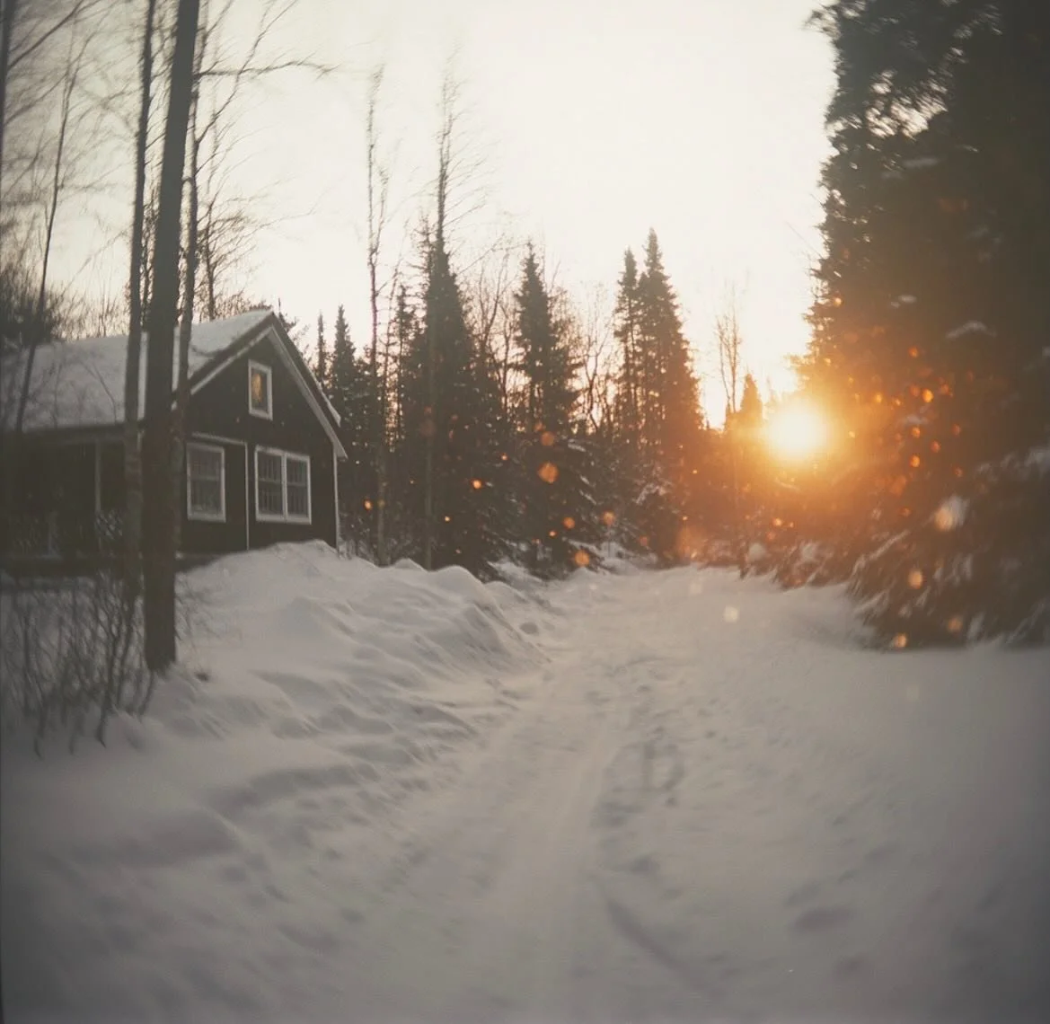 On l&rsquo;aime notre Qu&eacute;bec 💙❄️
