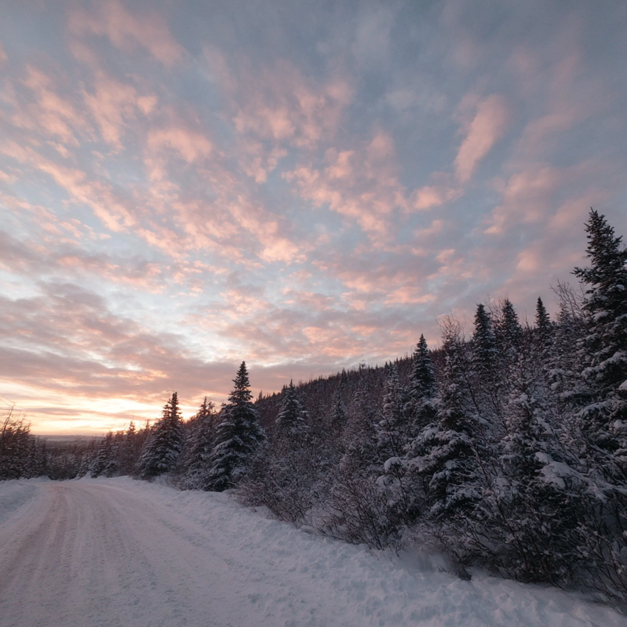 Inspir&eacute; par l&rsquo;ici, fa&ccedil;onn&eacute; pour durer. ❄