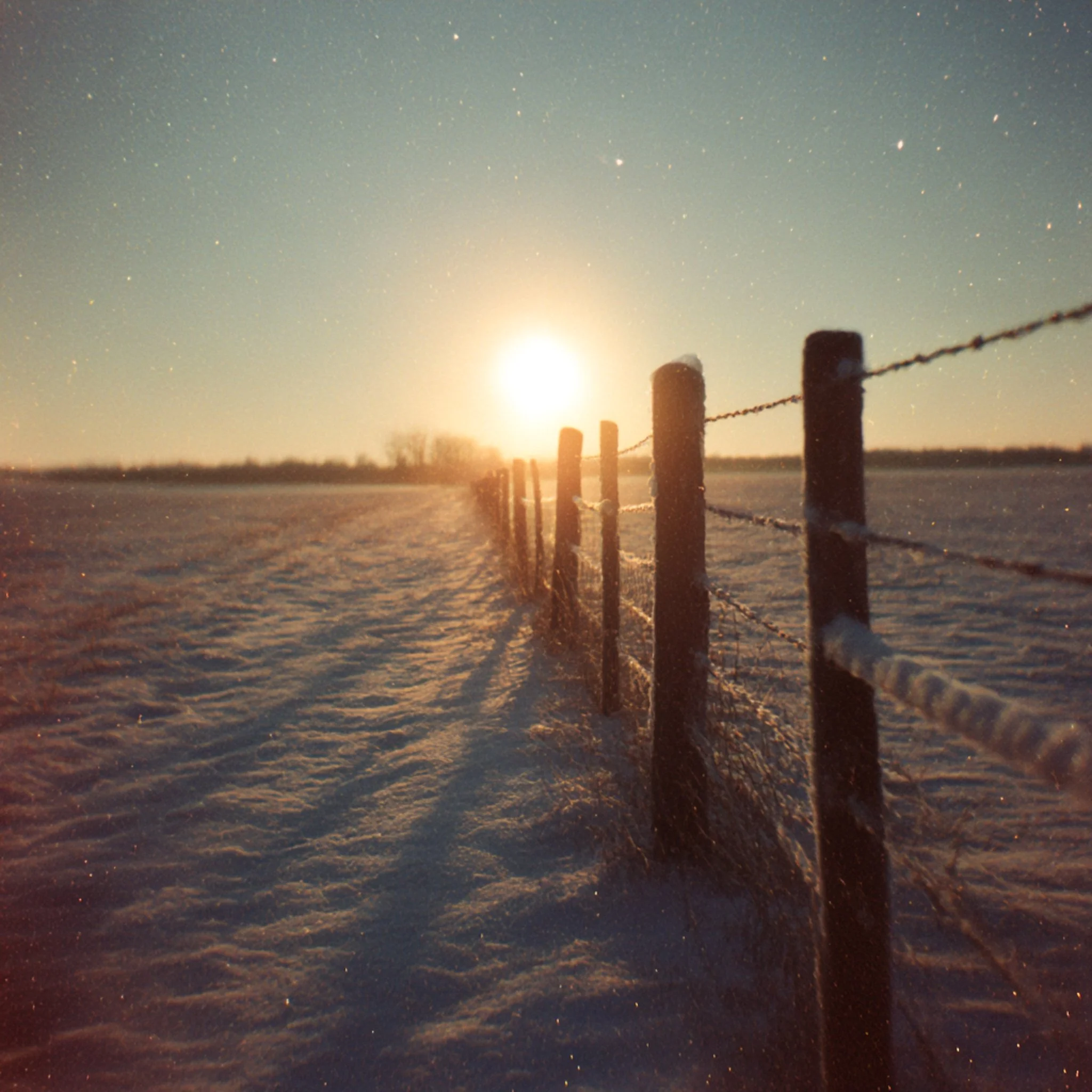 Parfois, le beau n&rsquo;a pas besoin de mots.
#lesmainsdici