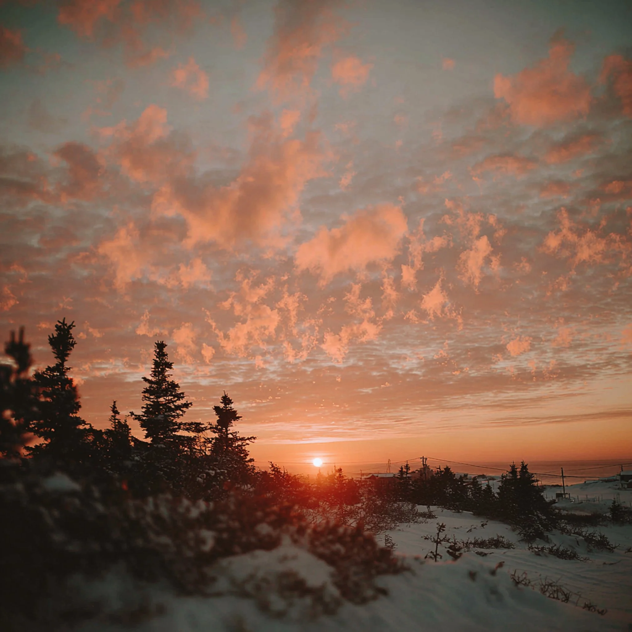 Bonne soir&eacute;e 🤍✨

#gasp&eacute;sie