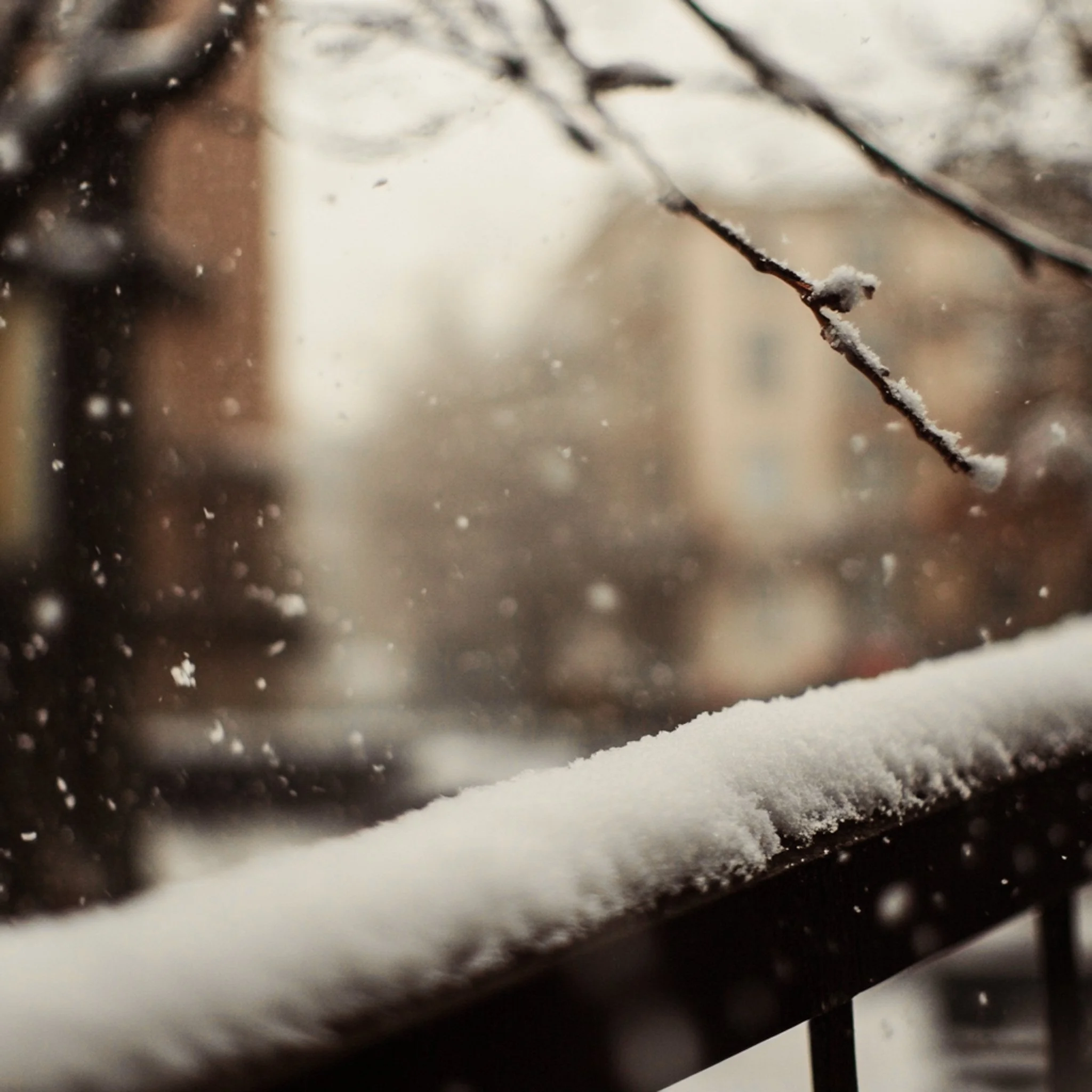 Le mois de f&eacute;vrier est pour nous un grand mois de production pour l&rsquo;ann&eacute;e &agrave; venir. De belles choses s&rsquo;en viennent. 😇

#savoirfaire