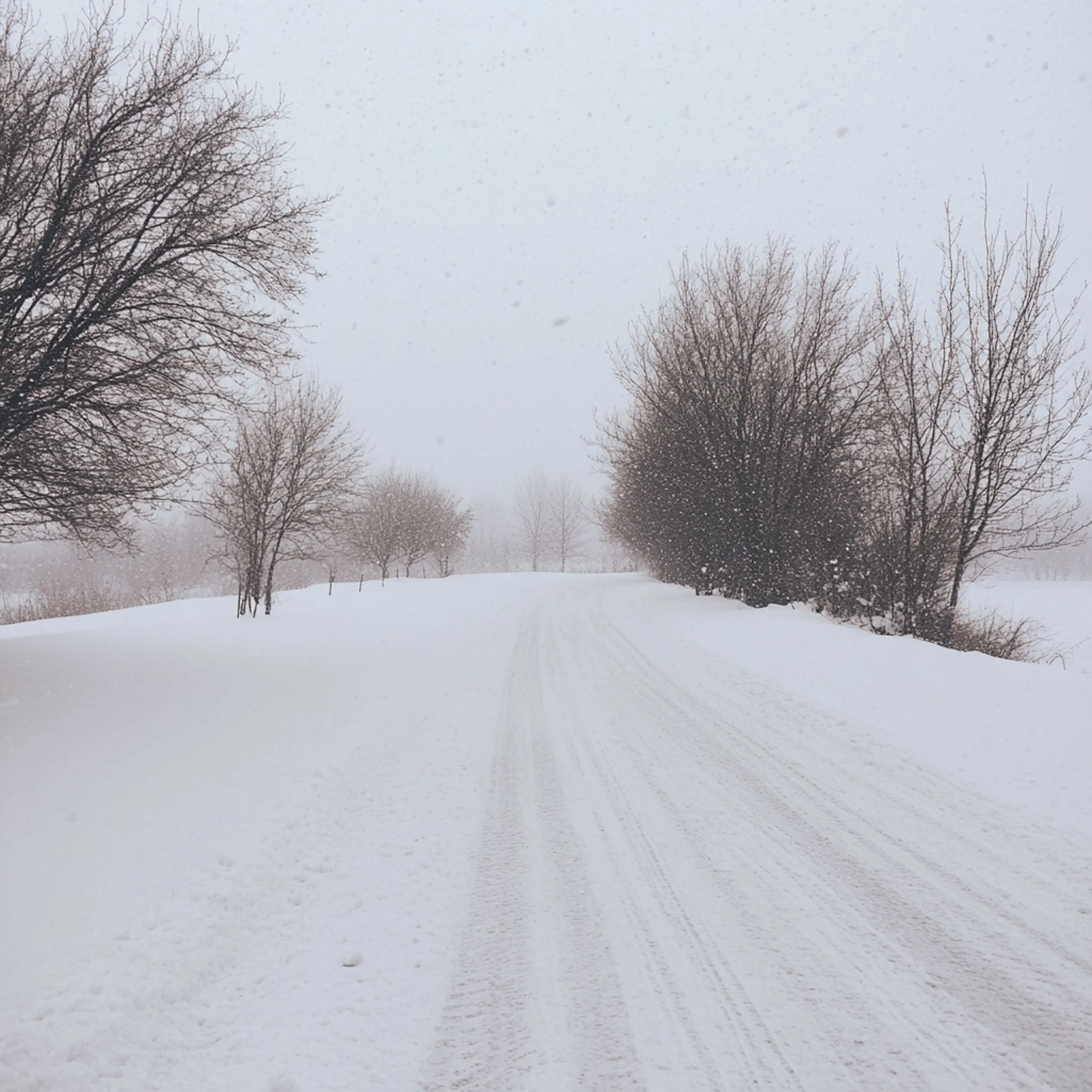 Dans le calme de l&rsquo;hiver, tout ralentit. ❄