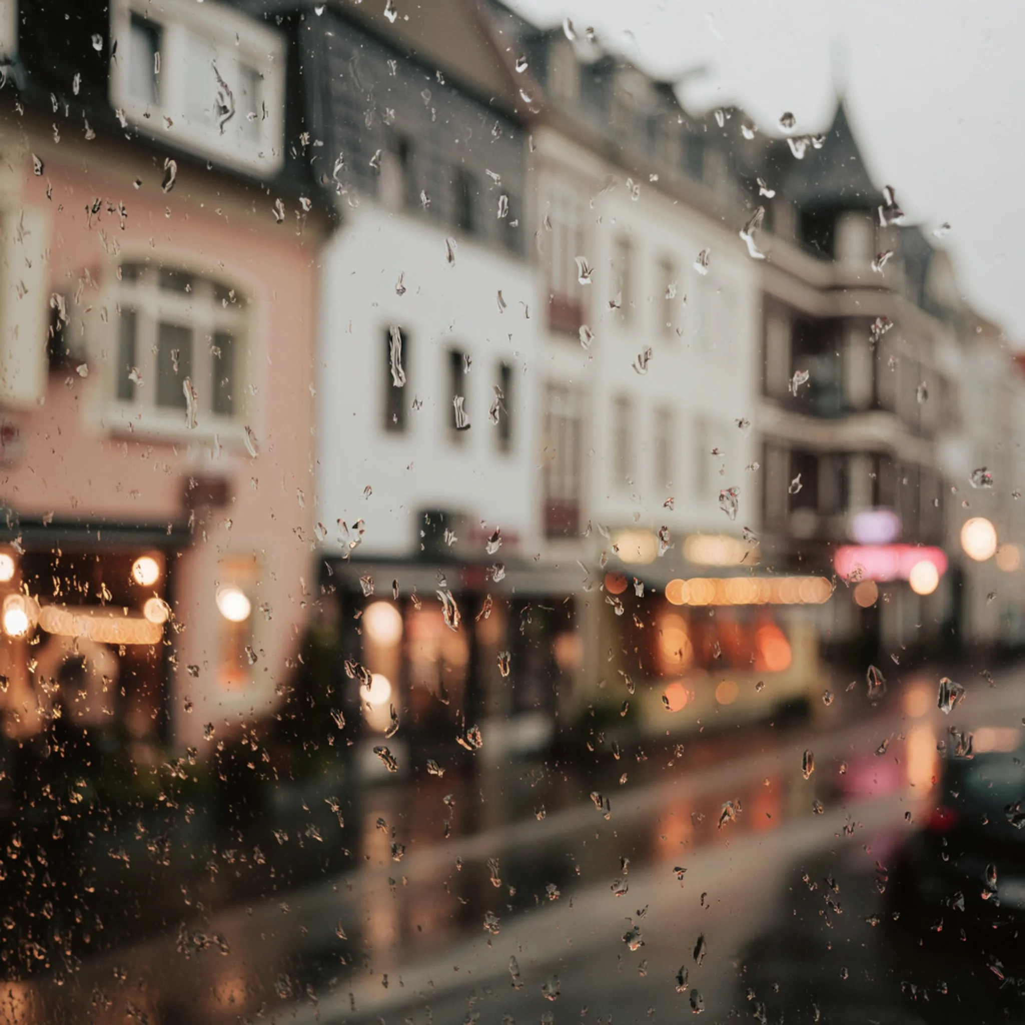 Quand la pluie annonce la fin de l&rsquo;hiver. ❄🌨️