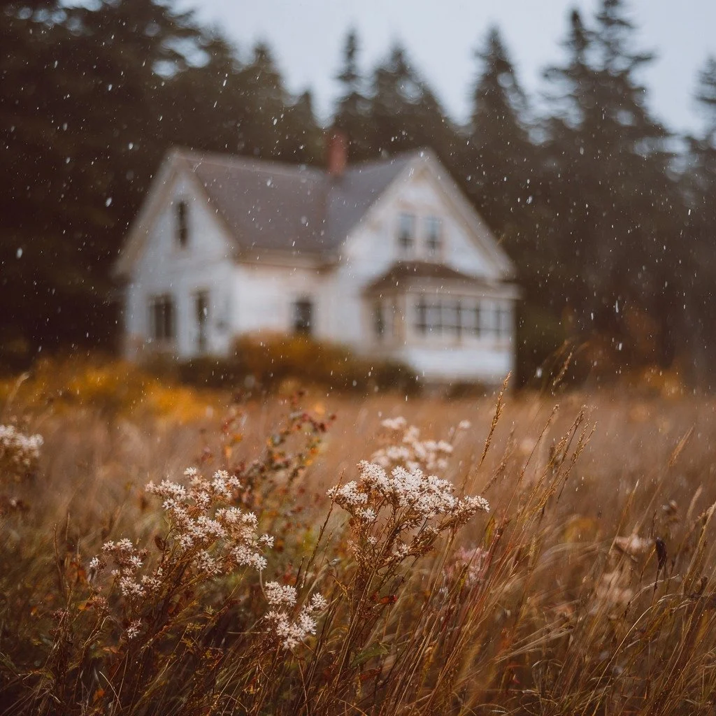 Pluie douce sur le Qu&eacute;bec 😇