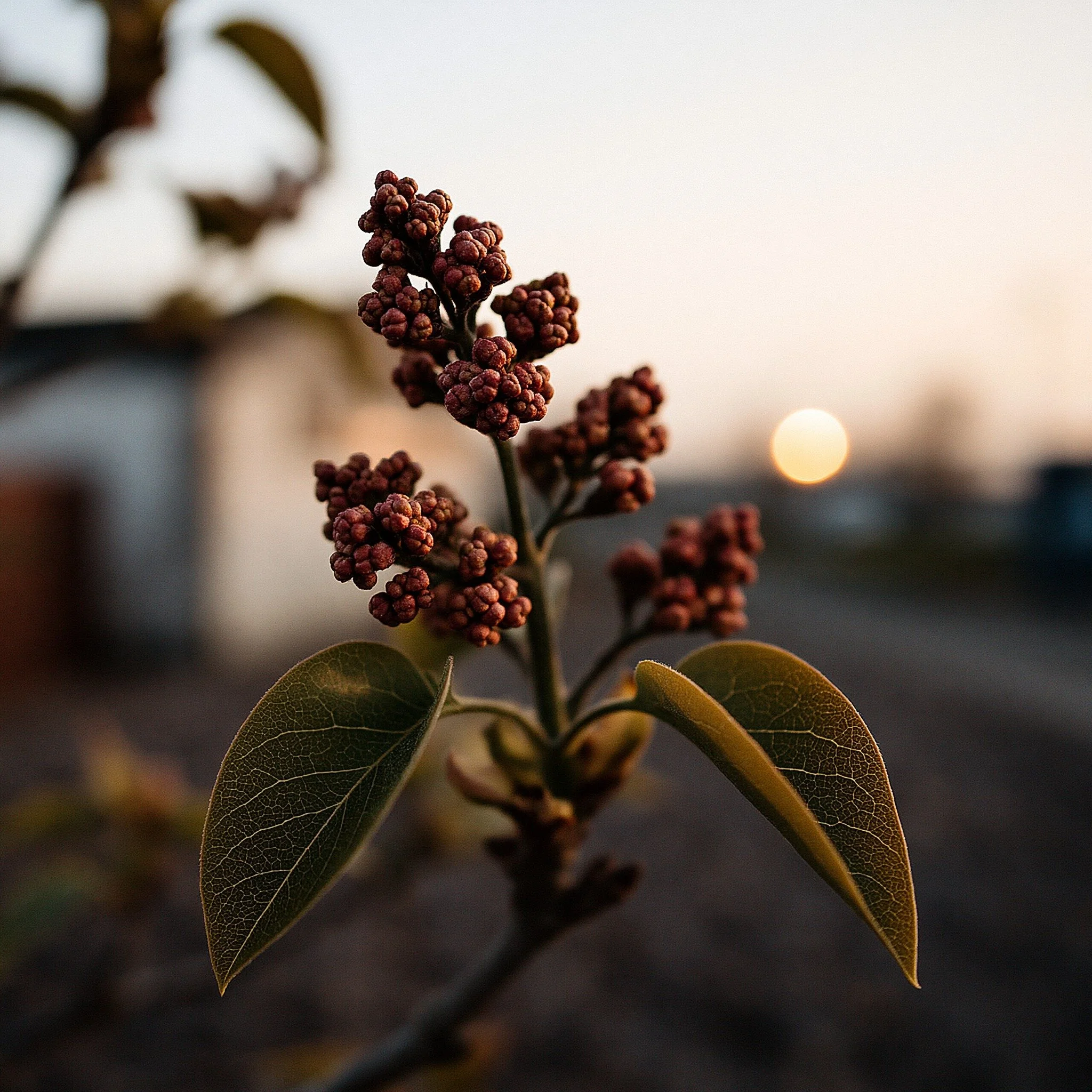 Tranquillement pas vite 😇